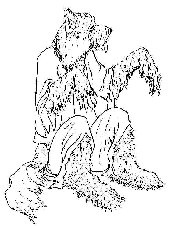 briard by PickleJuice