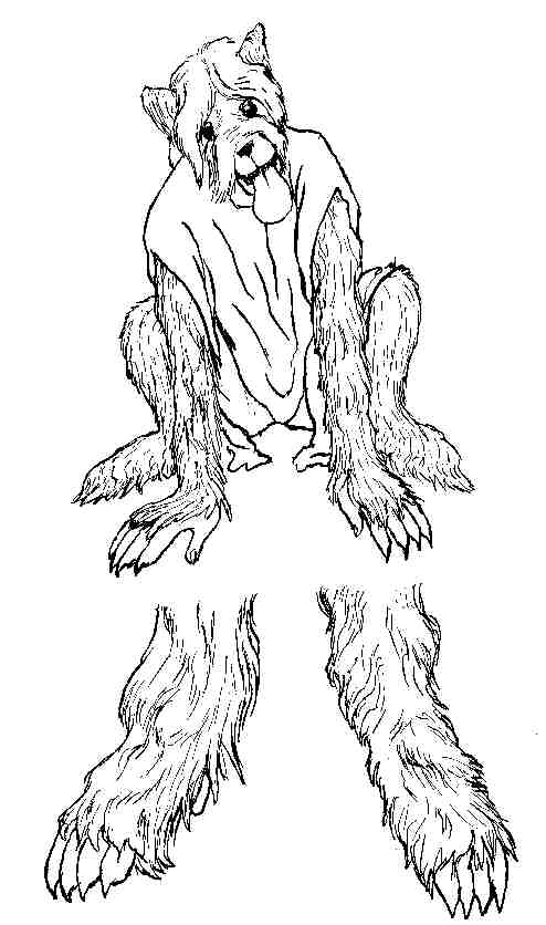 briard by PickleJuice