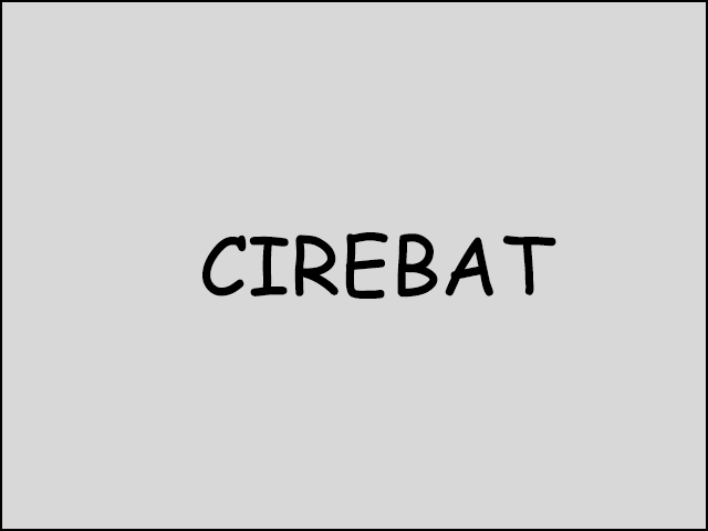 Cire bat animation by PickleJuice