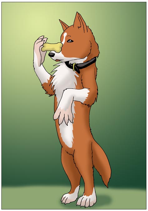 Farkle the Corgi by PickleJuice