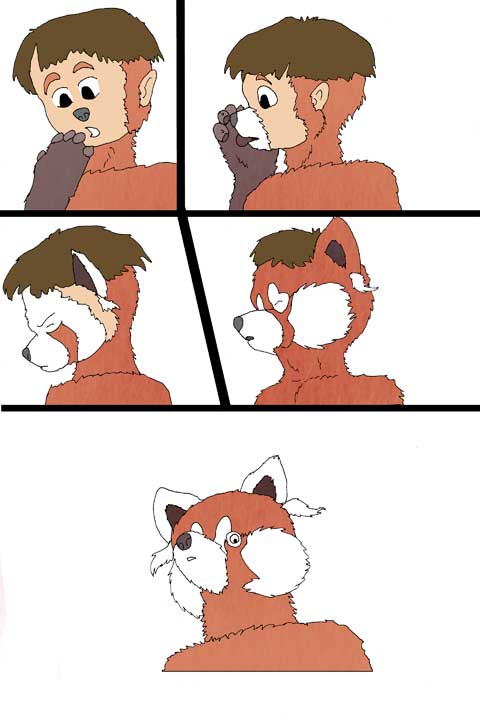 Red Panda Pet by PickleJuice