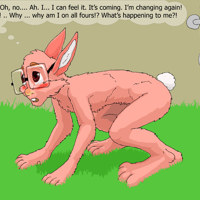 Sequence Image 22