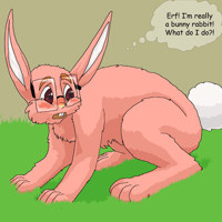 Sequence Image 24