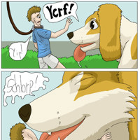 Sequence Image 8