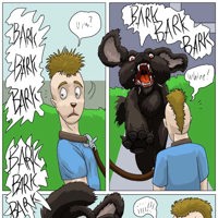 Sequence Image 12