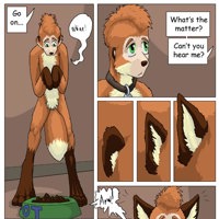Sequence Image 27