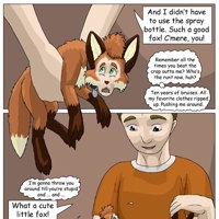 Sequence Image 31