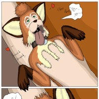 Sequence Image 33