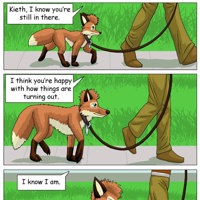 Sequence Image 38