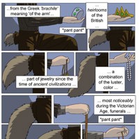 Sequence Image 7