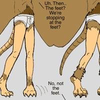 Sequence Image 6