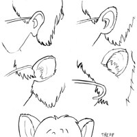 Sequence Image 3