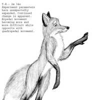 Sequence Image 4