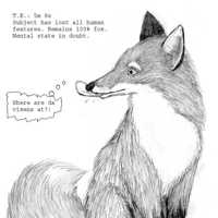 Sequence Image 5