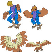Sequence Image 6