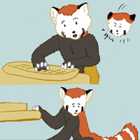 Sequence Image 6