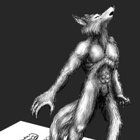 Sequence Image 10