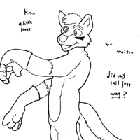 Sequence Image 2