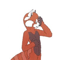 Sequence Image 15