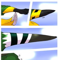 Sequence Image 2