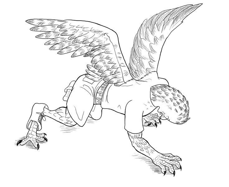 falcon by Rey