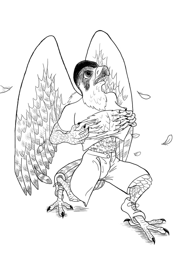 falcon by Rey