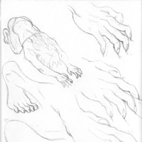 Sequence Image 3