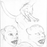 Sequence Image 5