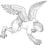 falcon by Rey