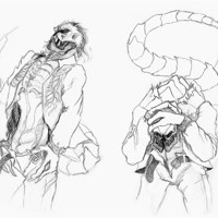 Sequence Image 2