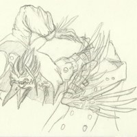 Sequence Image 7