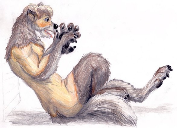 wolf TF by SK-roo
