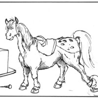 Sequence Image 5