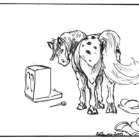 Sequence Image 6