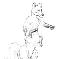 Sequence Image 3