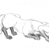 Sequence Image 4