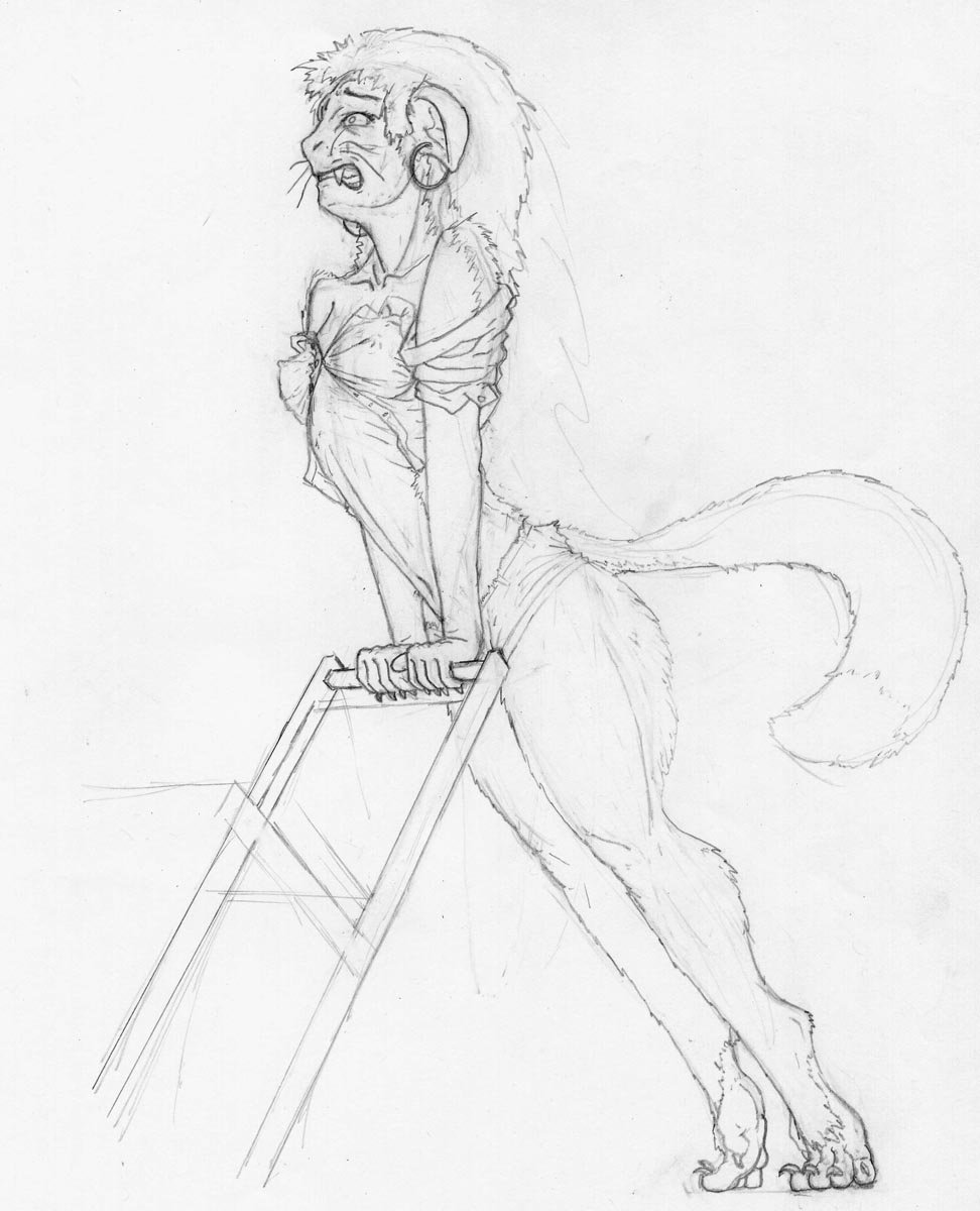 Stretch by SentR