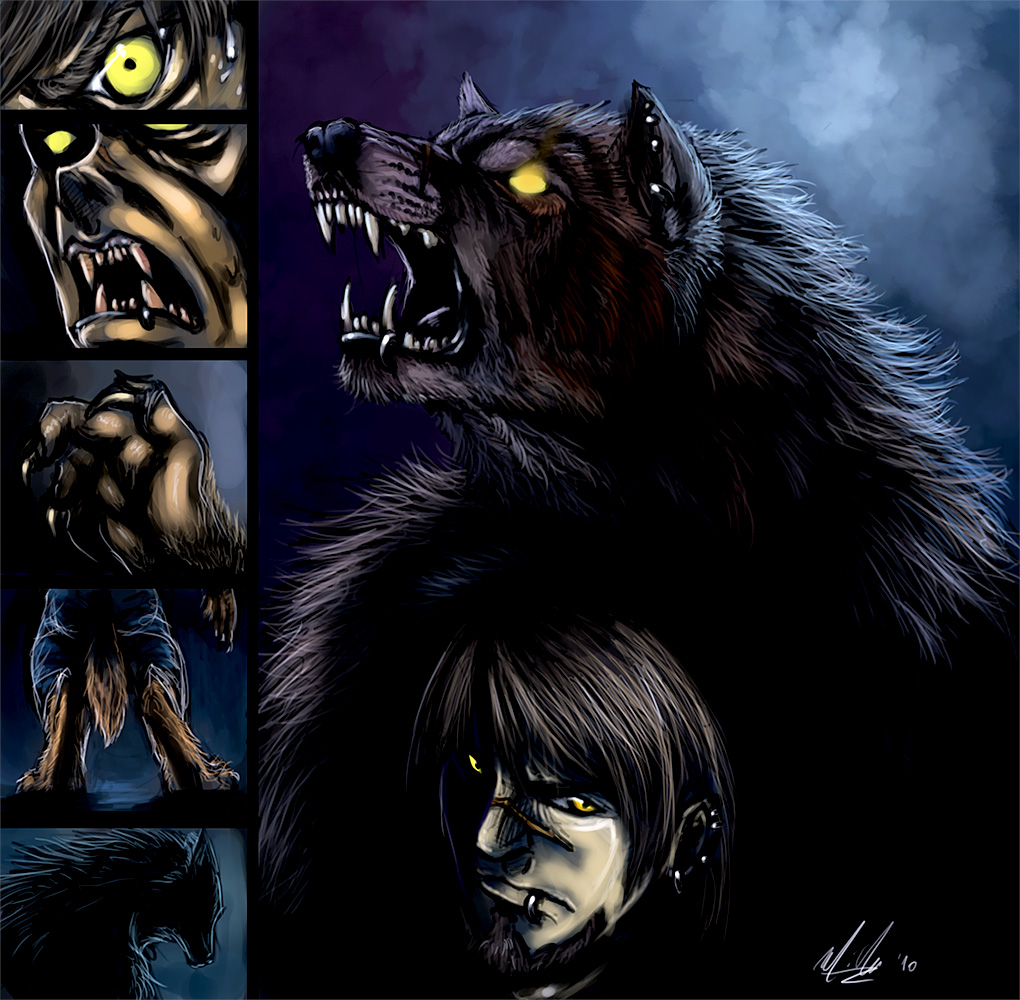nightwuff by Silver557