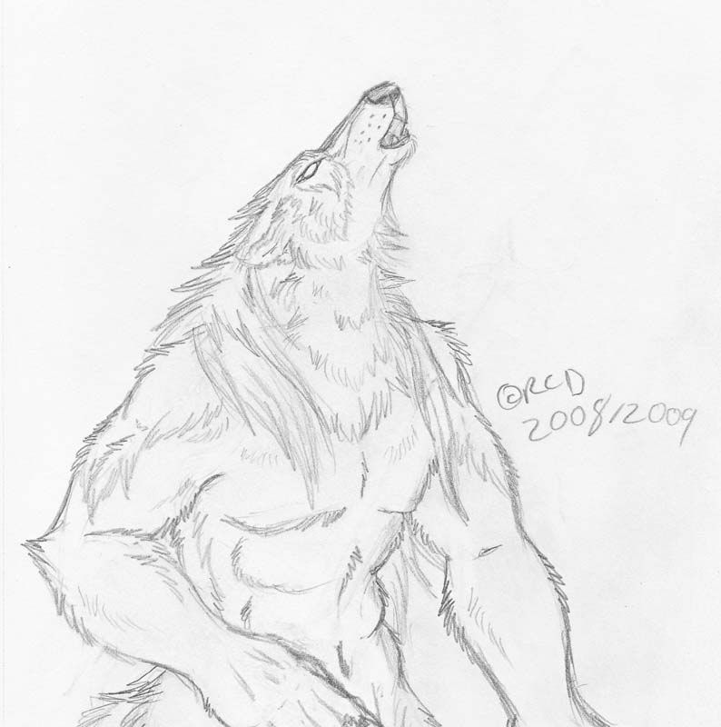 howling by Silverhyena