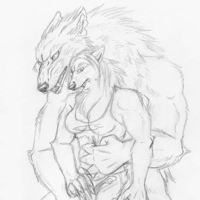 Sequence Image 3