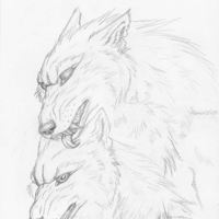 Sequence Image 4