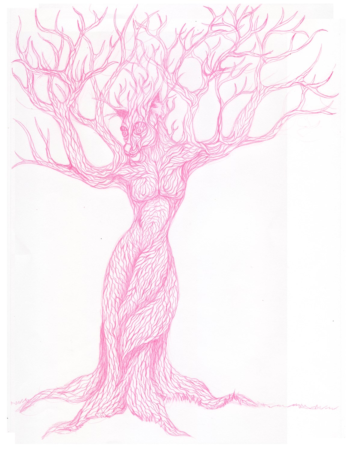 Tree Transform by Skychaser