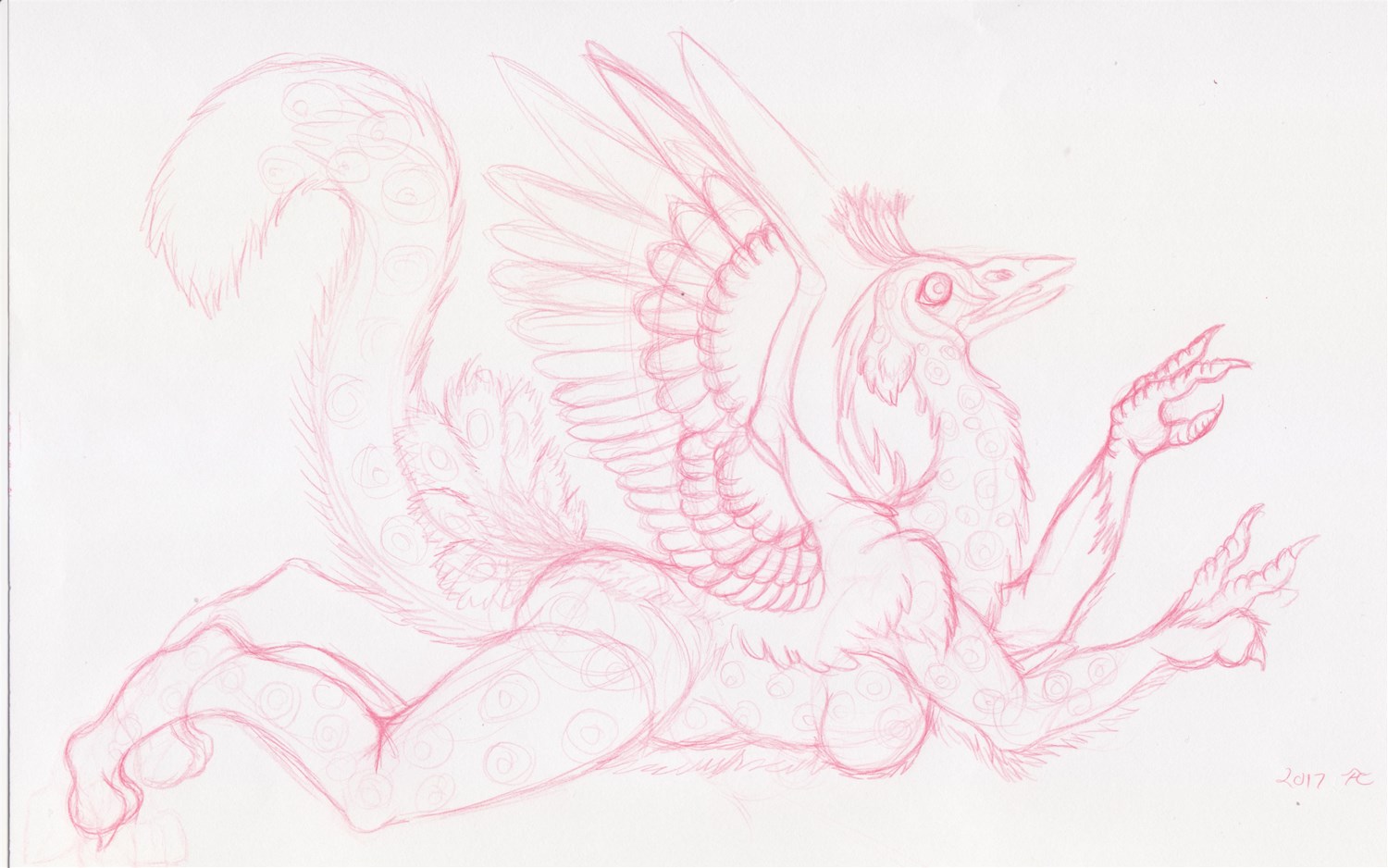 Ikani Peacock sketch by Skychaser