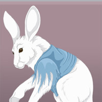 Sequence Image 4