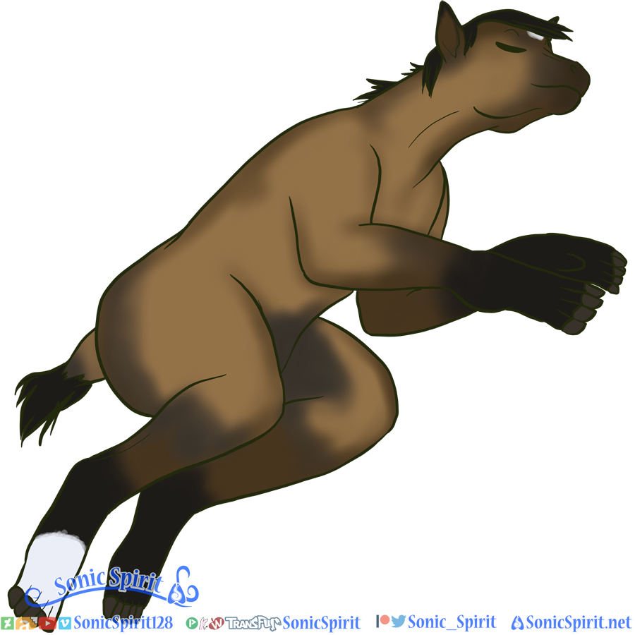 Sleepy - Octransfur 2020 by Sonicspirit