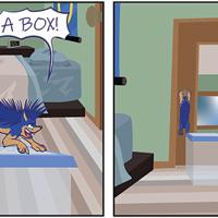 Sequence Image 4