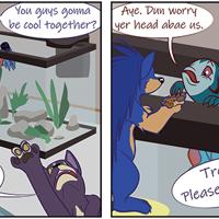 Sequence Image 10