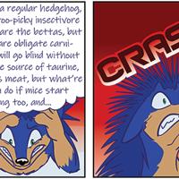 Sequence Image 11