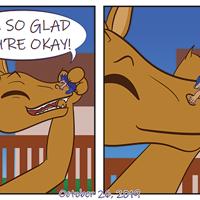 Sequence Image 13