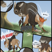 Sequence Image 4